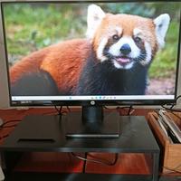 Monitor PC 22" HP LCD