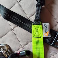 Cintura con guinzaglio ammortizzato running