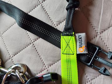 Cintura con guinzaglio ammortizzato running