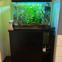 Acquario completo con mobile