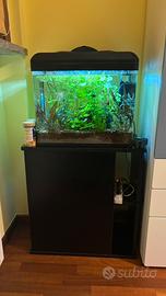 Acquario completo con mobile