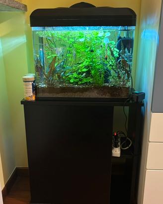 Acquario completo con mobile