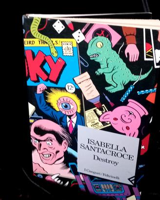 Destroy, libro di Isabella Santacroce 