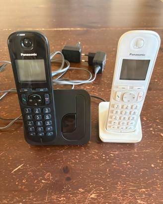 Panasonic cordless duo