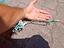 Immagine 4