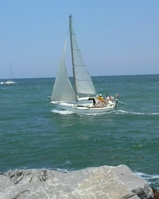 Barca a vela Edel 6