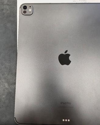 ipad pro 13 256gb wifi+5G