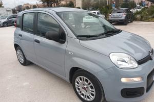 FIAT PANDA UNICOPROPRIETARIO 