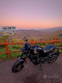 Benelli Leoncino 500