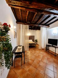 GENZANO DI ROMA GRAZiOSO MONOLOCALE LOFT ARREDATO