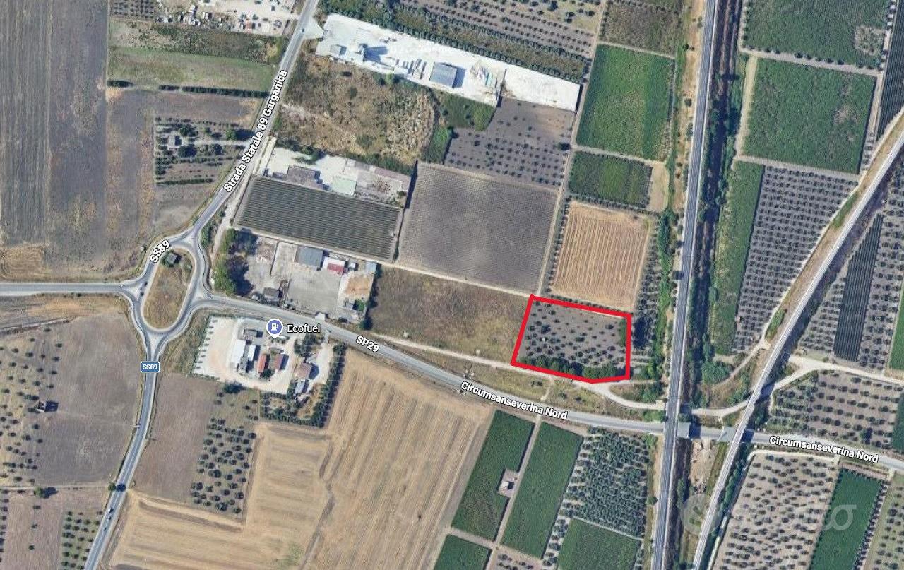 Terreno Agricolo San Severo [Cod. rif 3333384VCG] - Vista 4