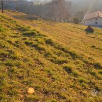 Terreno edificabile a cinque minuti da Sarnico