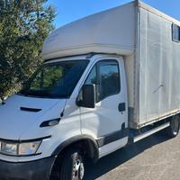 Iveco Daily TRASPORTO CAVALLI