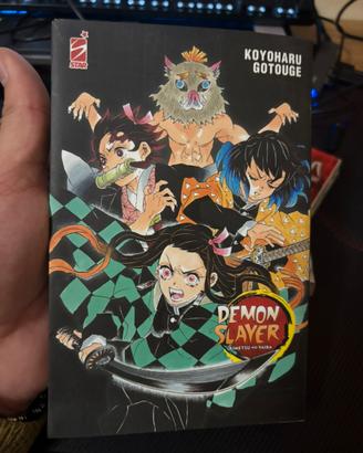 demon slayer ed speciale volume 13