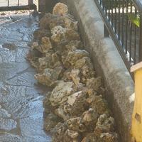 Rocce da Giardino