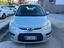 Immagine 24