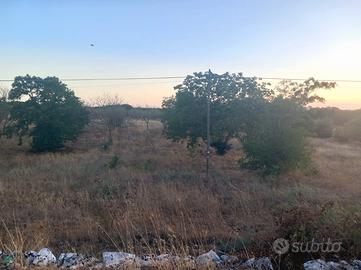 Terreno fronte strada