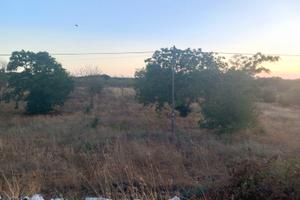 Terreno fronte strada