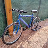 Bicicletta DA RIPARARE