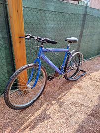 Bicicletta DA RIPARARE