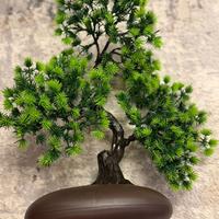 Bonsai decorativo artificiale