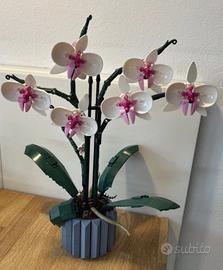 Orchidea finta