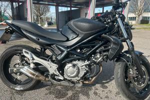Suzuki SFV 650 Gladius