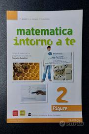 Matematica intorno a te 2 Figure 9788842416142