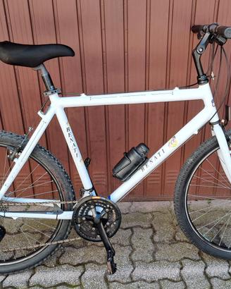 Bicicletta Mountain Bike ""Vintage""