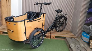 Cargo bike Curvy elettrica usato  n.3