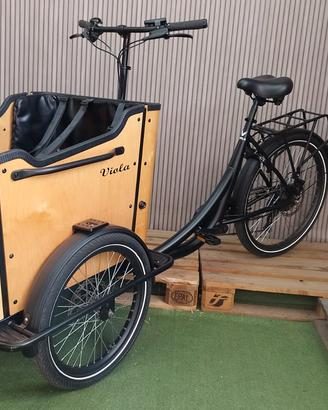 Cargo bike Curvy elettrica usato  n.3
