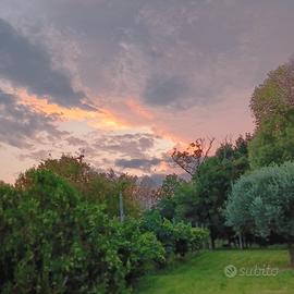 1030 mq terreno agricolo