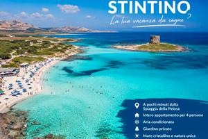 Stintino - last minute agosto