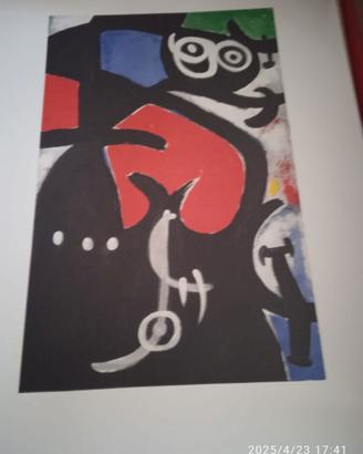 Collezione di stampe di Miro'