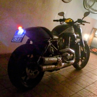 Harley VRod Special