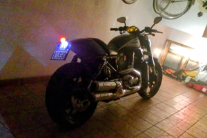 Harley VRod Special