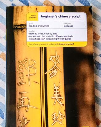 Teach Yourself Beginner's Chinese Script