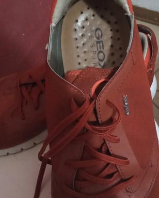 scarpa Geox 