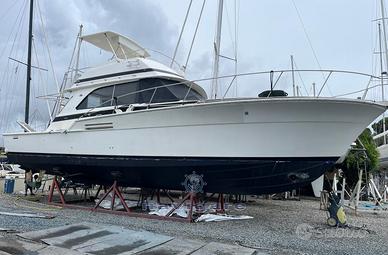 Bertram Yacht 46.6 Convertible (1987)