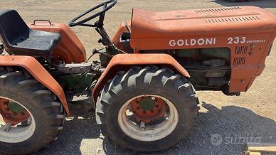 GOLDONI 233 SNODATO NO STERZANTE