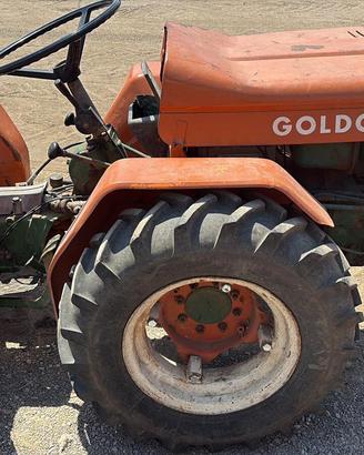 GOLDONI 233 SNODATO NO STERZANTE