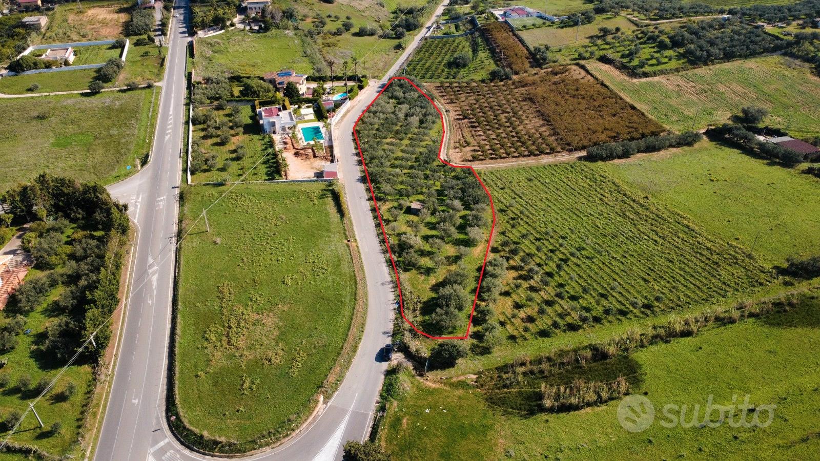Terreno agricolo a Partinico,SS113, svincolo Grisì - Vista 2