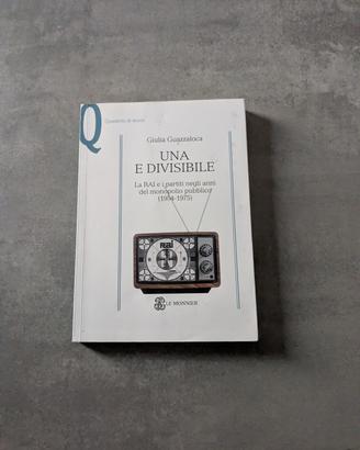 Una e divisibile - Giulia Guazzaloca 