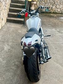 Harley Davidson vrd