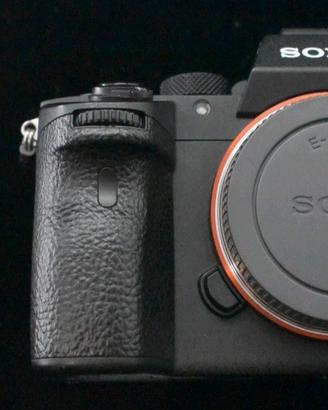 Sony a7iii, 6.500k scatti