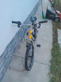 bicicletta 