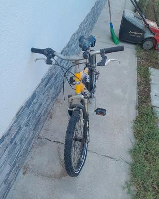bicicletta 
