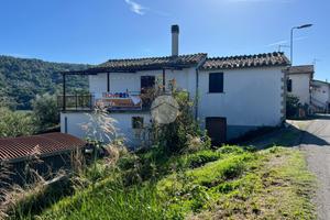 CASA INDIPENDENTE A CALVI DELL'UMBRIA