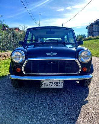 Austin Rover Mini