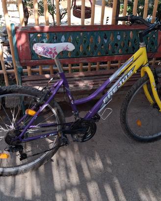 Bicicletta donna 26 Fresjus